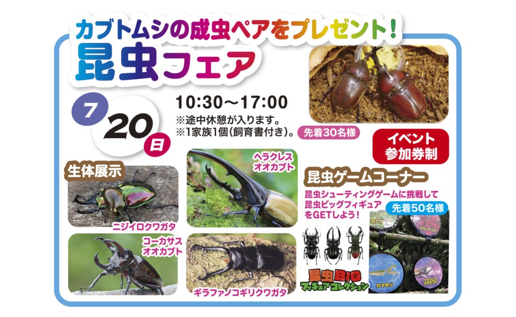 昆虫フェア【流山おおたかの森】