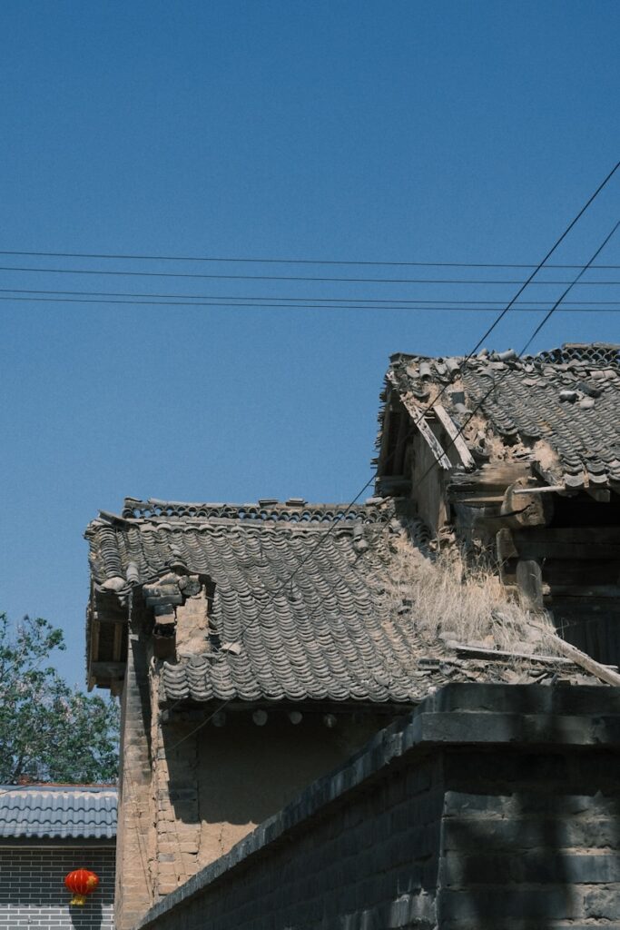 a bird is perched on the roof of a building